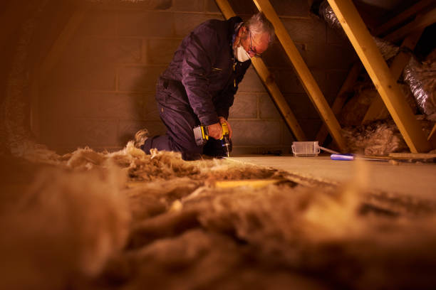 Eco-Friendly or Green Insulation Solutions in Woodworth, OH